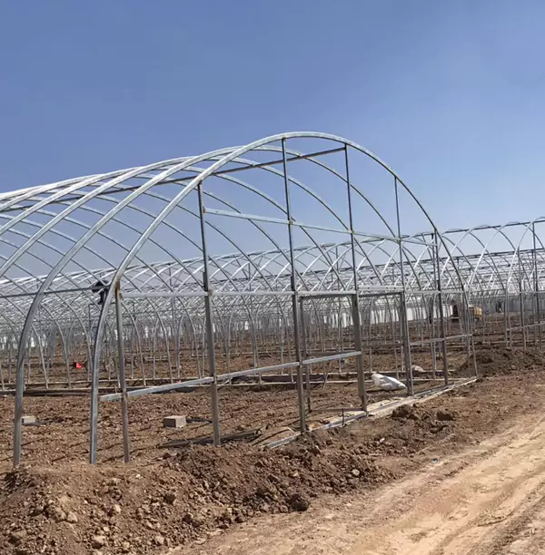 ဖန်လုံအိမ်ပိုက်များ